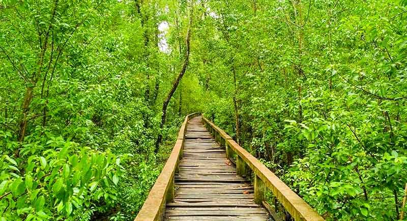হরিণঘাটা পর্যটন কেন্দ্র